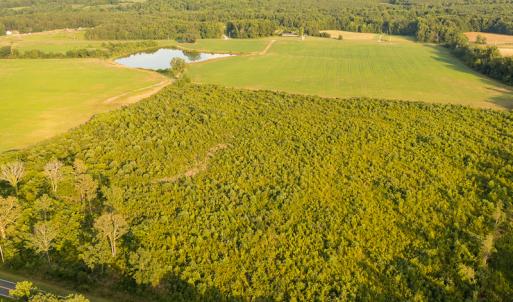 Photo #9 of SOLD property in Off Pixley Pritchard Road & Thomas Store Road, Timberlake, NC 115.0 acres