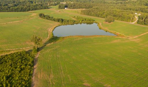Photo #10 of SOLD property in Off Pixley Pritchard Road & Thomas Store Road, Timberlake, NC 115.0 acres