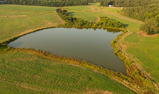 Photo #12 of SOLD property in Off Pixley Pritchard Road & Thomas Store Road, Timberlake, NC 115.0 acres