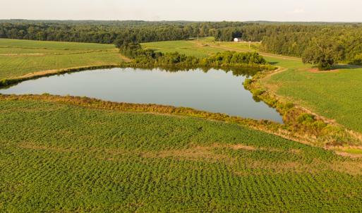 Photo #13 of SOLD property in Off Pixley Pritchard Road & Thomas Store Road, Timberlake, NC 115.0 acres