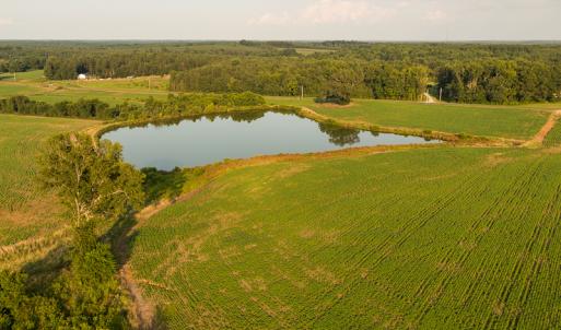 Photo #14 of SOLD property in Off Pixley Pritchard Road & Thomas Store Road, Timberlake, NC 115.0 acres