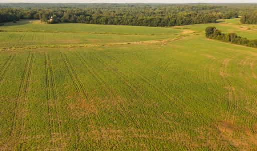 Photo #15 of SOLD property in Off Pixley Pritchard Road & Thomas Store Road, Timberlake, NC 115.0 acres