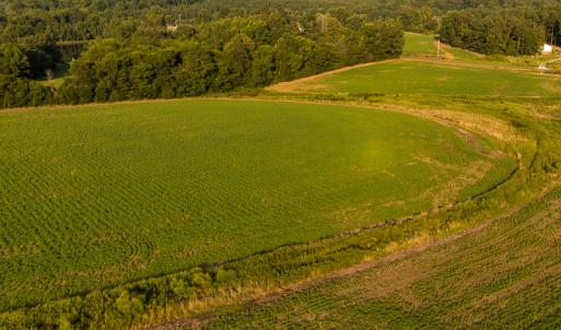 Photo #22 of SOLD property in Off Pixley Pritchard Road & Thomas Store Road, Timberlake, NC 115.0 acres