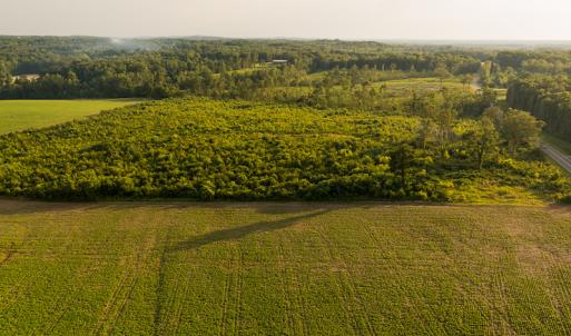 Photo #23 of SOLD property in Off Pixley Pritchard Road & Thomas Store Road, Timberlake, NC 115.0 acres