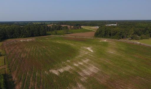 Photo #2 of SOLD property in Off Pleasant Hope Road, Fairmont, NC 18.5 acres