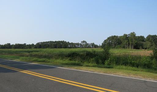 Photo #4 of SOLD property in Off Pleasant Hope Road, Fairmont, NC 18.5 acres