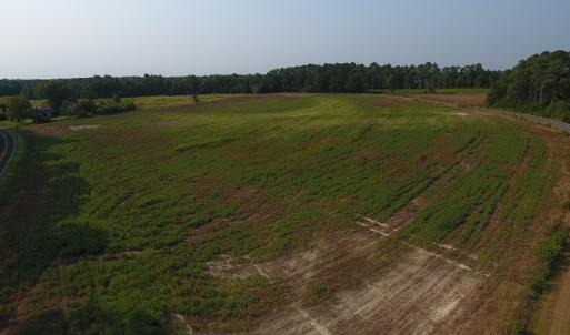 Photo #5 of SOLD property in Off Pleasant Hope Road, Fairmont, NC 18.5 acres