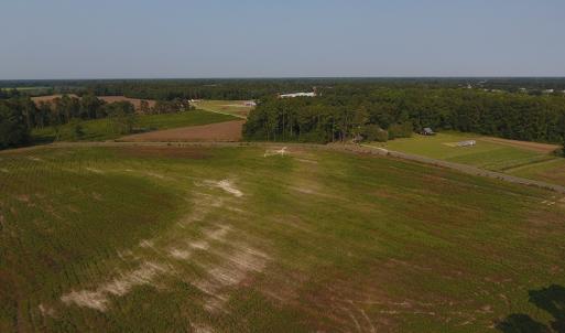 Photo #7 of SOLD property in Off Pleasant Hope Road, Fairmont, NC 18.5 acres