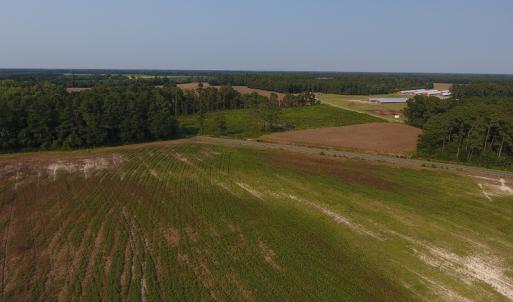 Photo #9 of SOLD property in Off Pleasant Hope Road, Fairmont, NC 18.5 acres