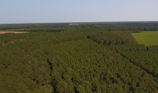 Photo #1 of Off NC HWY 130, Orrum, NC 40.8 acres