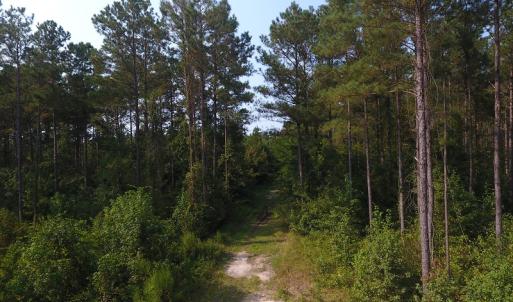 Photo #10 of Off NC HWY 130, Orrum, NC 40.8 acres