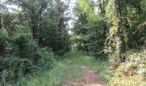 Photo #15 of Off NC HWY 130, Orrum, NC 40.8 acres