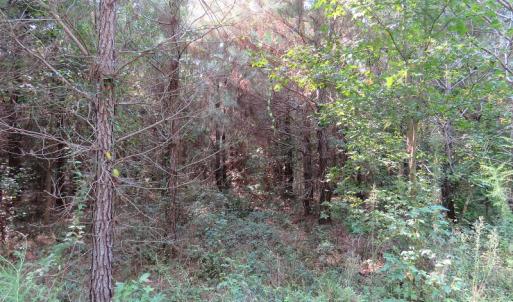Photo #16 of Off NC HWY 130, Orrum, NC 40.8 acres