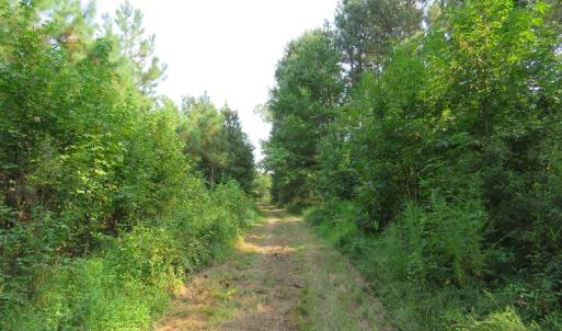 Photo #2 of Off NC HWY 130, Orrum, NC 40.8 acres