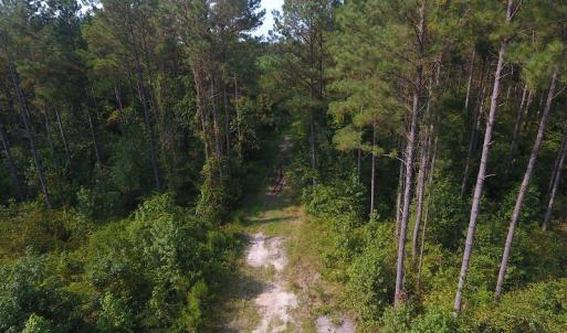 Photo #3 of Off NC HWY 130, Orrum, NC 40.8 acres