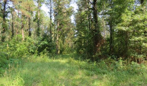 Photo #4 of Off NC HWY 130, Orrum, NC 40.8 acres