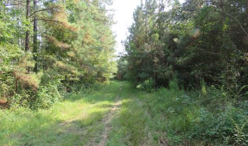 Photo #5 of Off NC HWY 130, Orrum, NC 40.8 acres
