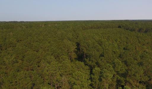 Photo #6 of Off NC HWY 130, Orrum, NC 40.8 acres