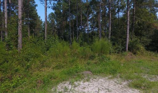 Photo #7 of Off NC HWY 130, Orrum, NC 40.8 acres