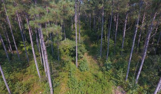 Photo #8 of Off NC HWY 130, Orrum, NC 40.8 acres
