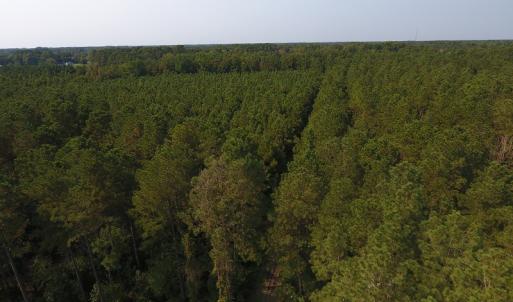 Photo #9 of Off NC HWY 130, Orrum, NC 40.8 acres