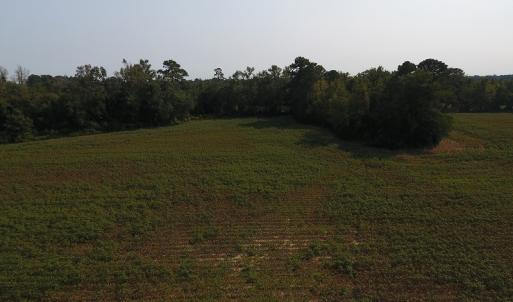 Photo #3 of SOLD property in 17202 Hwy NC 130, Orrum, NC 27.0 acres