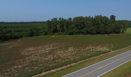 Photo #4 of SOLD property in 17202 Hwy NC 130, Orrum, NC 27.0 acres