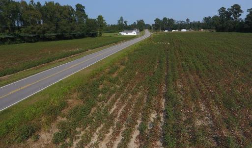 Photo #5 of SOLD property in 17202 Hwy NC 130, Orrum, NC 27.0 acres