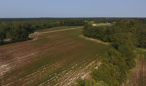 Photo #7 of SOLD property in 17202 Hwy NC 130, Orrum, NC 27.0 acres