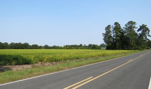 Photo #3 of SOLD property in Off Collins Drive, Lumberton, NC 15.0 acres