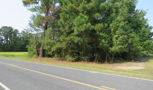Photo #7 of SOLD property in Off Collins Drive, Lumberton, NC 15.0 acres
