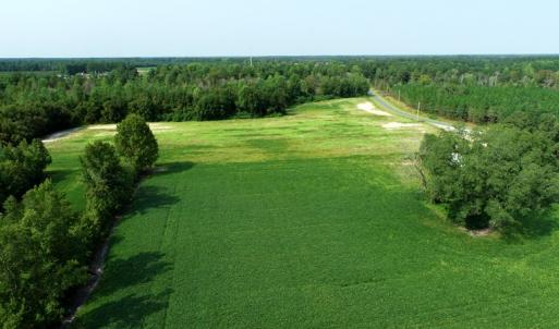 Photo #2 of SOLD property in Off Collins Drive and Birtie Road, Lumberton, NC 28.5 acres