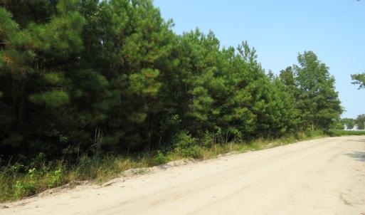 Photo #7 of SOLD property in Off Collins Drive and Birtie Road, Lumberton, NC 28.5 acres