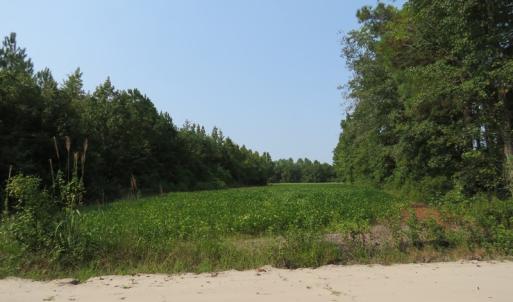 Photo #9 of SOLD property in Off Collins Drive and Birtie Road, Lumberton, NC 28.5 acres