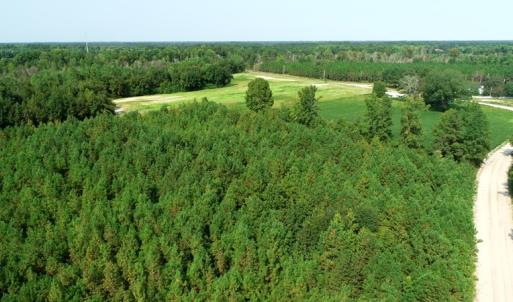 Photo #10 of SOLD property in Off Collins Drive and Birtie Road, Lumberton, NC 28.5 acres