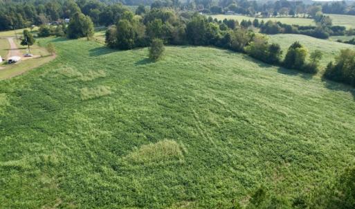 Photo #10 of SOLD property in Off Rose Drive, Lawrenceville, VA 3.5 acres