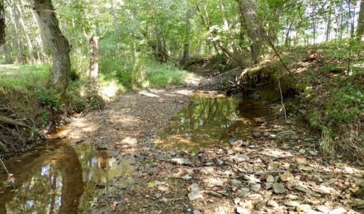 Photo #13 of SOLD property in Off Rose Drive, Lawrenceville, VA 3.5 acres