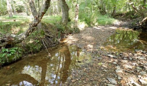 Photo #14 of SOLD property in Off Rose Drive, Lawrenceville, VA 3.5 acres