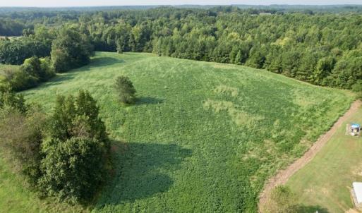 Photo #5 of SOLD property in Off Rose Drive, Lawrenceville, VA 3.5 acres