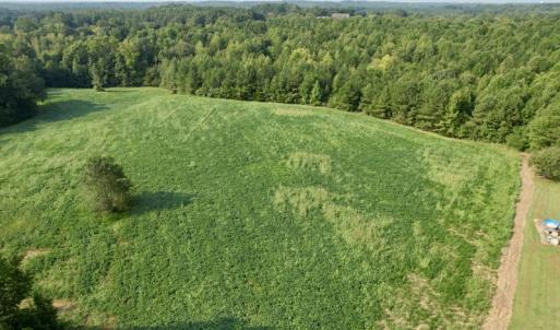 Photo #6 of SOLD property in Off Rose Drive, Lawrenceville, VA 3.5 acres