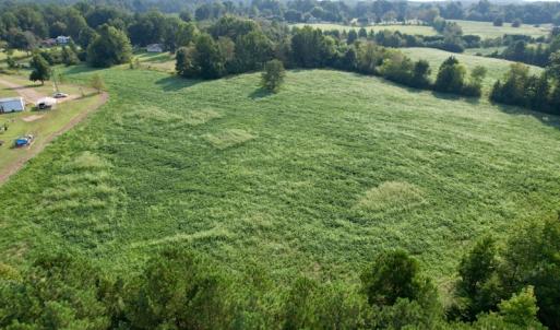 Photo #9 of SOLD property in Off Rose Drive, Lawrenceville, VA 3.5 acres