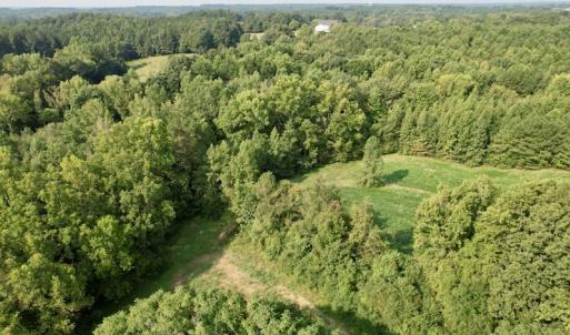 Photo #9 of SOLD property in Off Strawberry Drive, Lawrenceville, VA 20.0 acres
