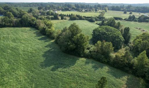 Photo #15 of SOLD property in Off Strawberry Drive, Lawrenceville, VA 20.0 acres
