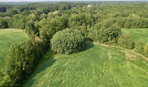 Photo #17 of SOLD property in Off Strawberry Drive, Lawrenceville, VA 20.0 acres