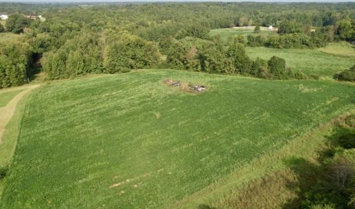 Photo #25 of SOLD property in Off Strawberry Drive, Lawrenceville, VA 20.0 acres
