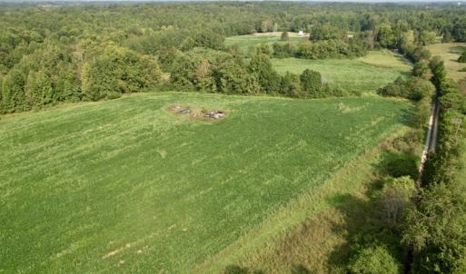 Photo #26 of SOLD property in Off Strawberry Drive, Lawrenceville, VA 20.0 acres
