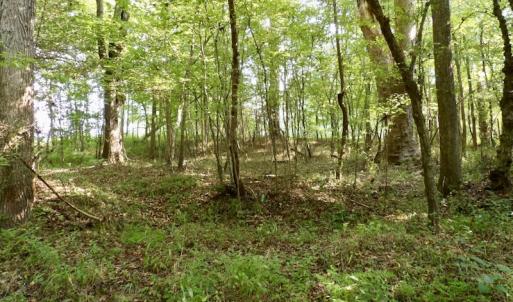 Photo #39 of SOLD property in Off Strawberry Drive, Lawrenceville, VA 20.0 acres