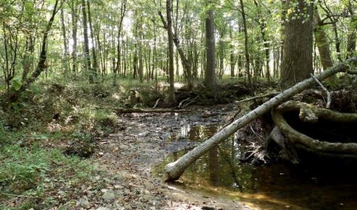 Photo #40 of SOLD property in Off Strawberry Drive, Lawrenceville, VA 20.0 acres