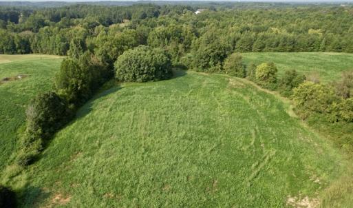 Photo #5 of SOLD property in Off Strawberry Drive, Lawrenceville, VA 20.0 acres