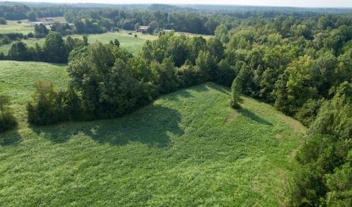 Photo #8 of SOLD property in Off Strawberry Drive, Lawrenceville, VA 20.0 acres